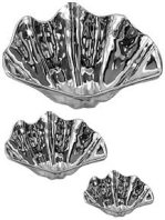 Small Clam Shell