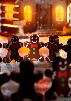 Magnetic Mold - Gingerbread Man