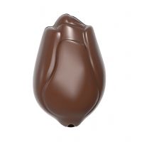 CW12003 - Mold, Tulip