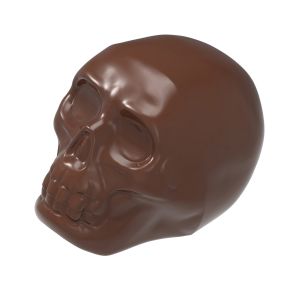 Magnetic Mold, Large Skull