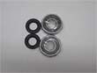 Seals and Bearings Kit