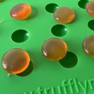 Button Mold, 80 Cavities