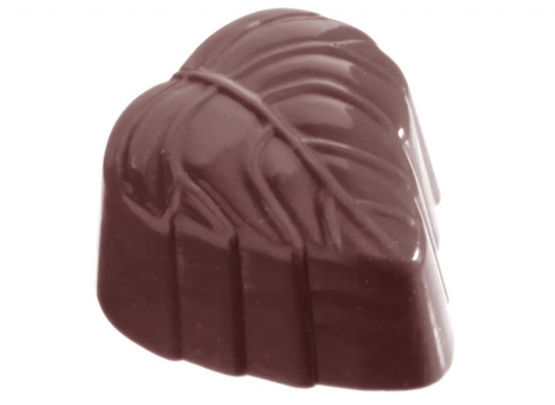 CW1046 - Mold, Leaf