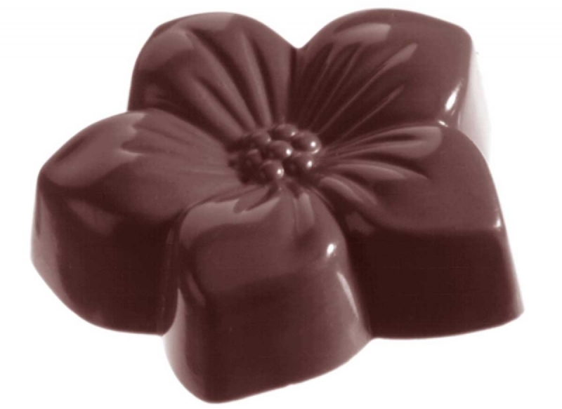 CW1060 - Mold, Violet