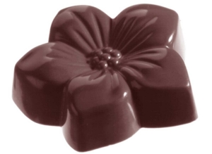 CW1060 - Mold, Violet