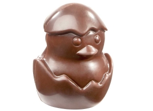 CW1786 - Mold, Chick from Egg