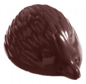 CW2259 - Mold, Hedgehog