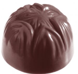 CW2340 - Mold, Hazelnut