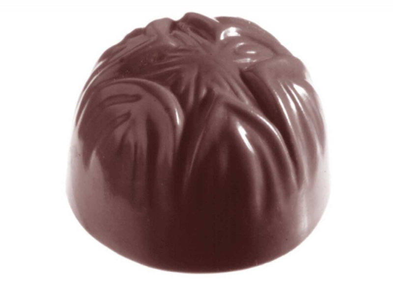CW2340 - Mold, Hazelnut